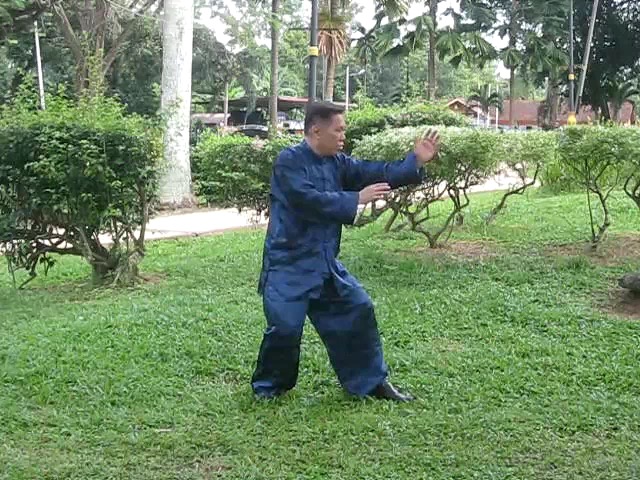 Wu Yu Xiang Style Taijiquan